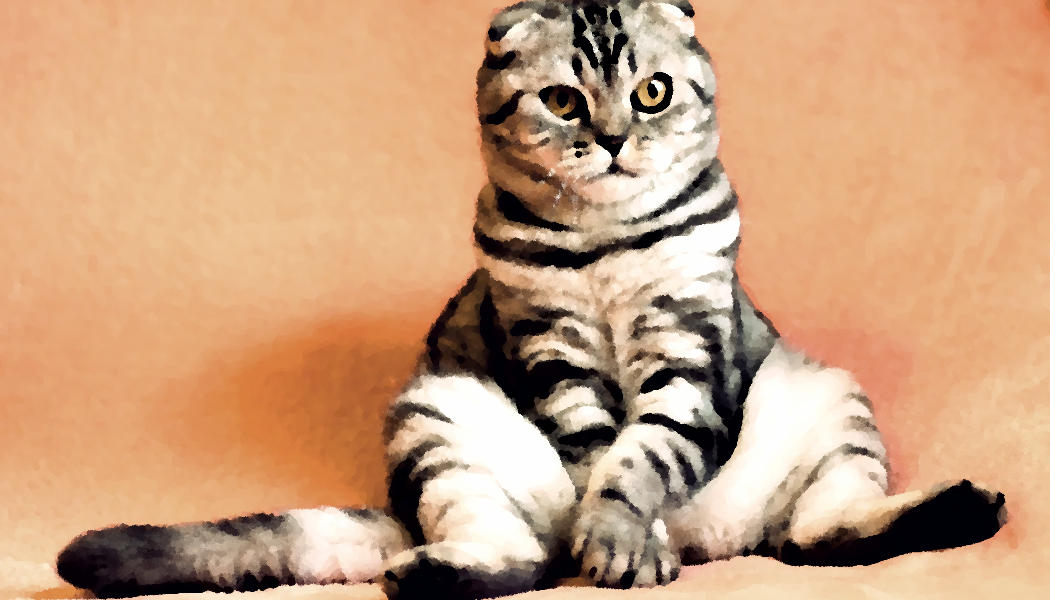 Katze - Gemälde - pelzblog