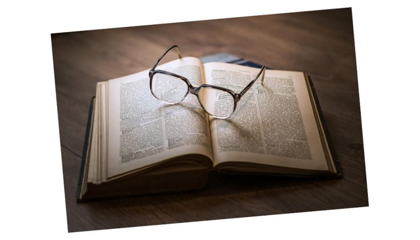 Bücher - pelzblog