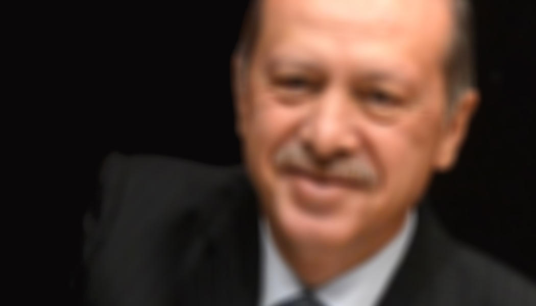 Erdogan - pelzblog