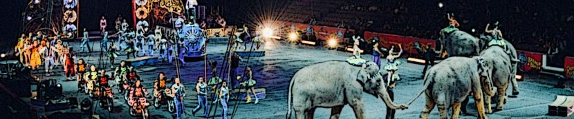 Zirkusmanege - pelzblog